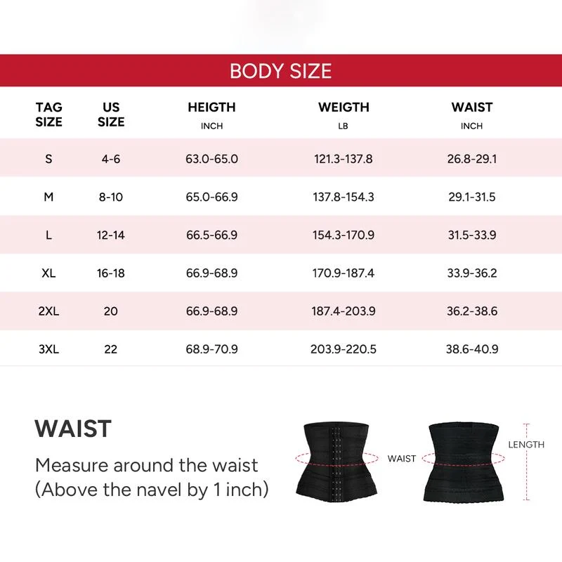 Adjustable Waist Cincher & Sports Belt - Image 12